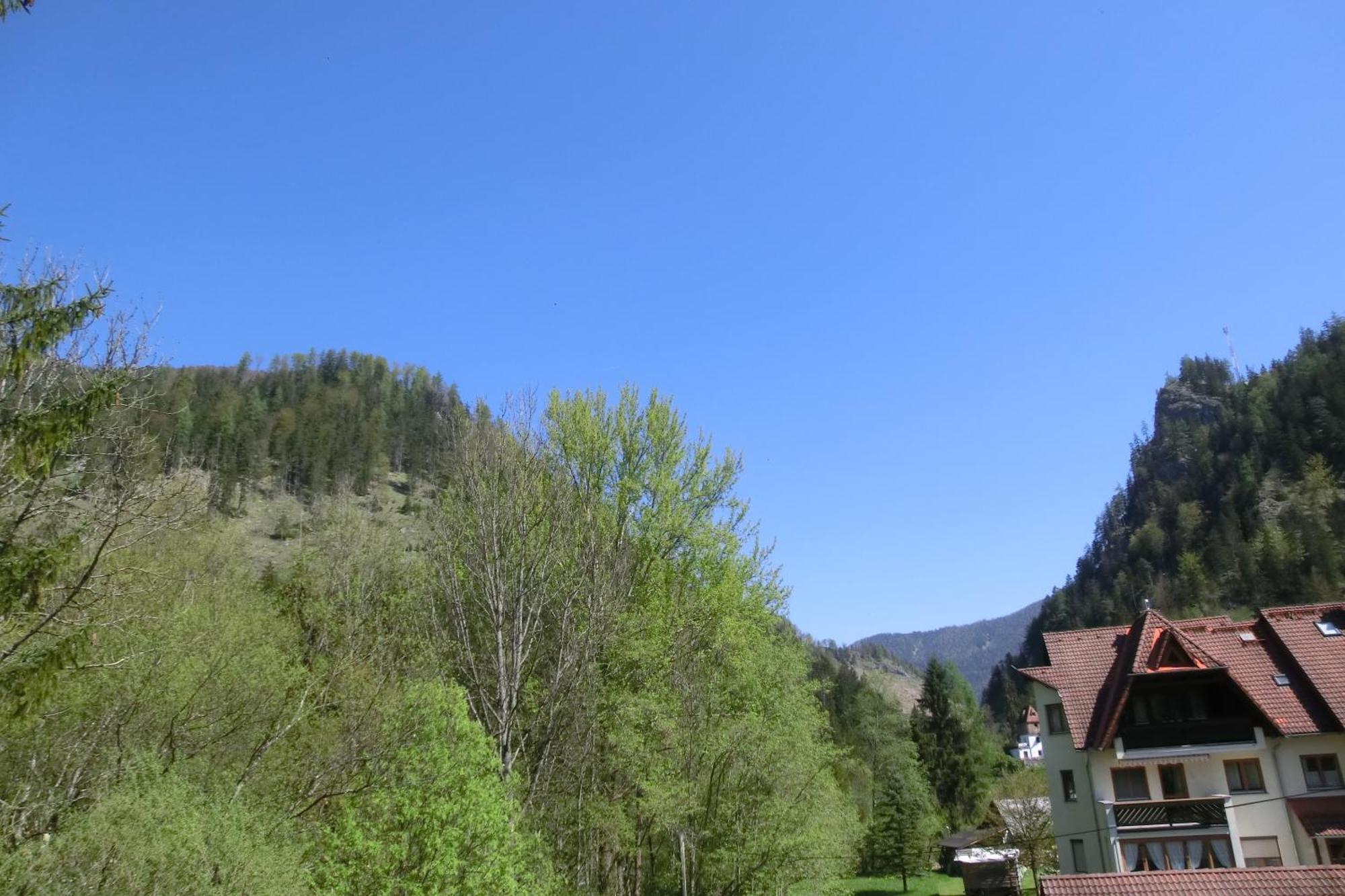 Hotel Garni Landhaus Buertlmair Hinterstoder Room photo
